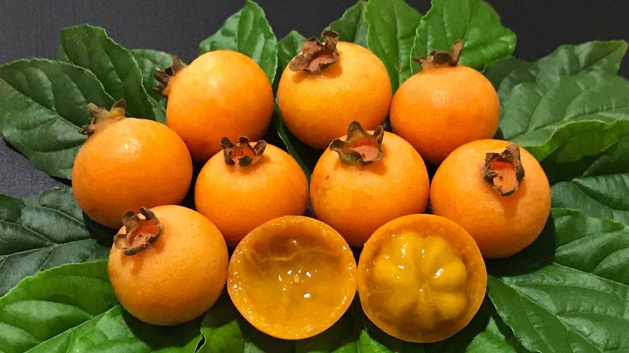 Cidade de Bonito: Conheça 7 curiosidades