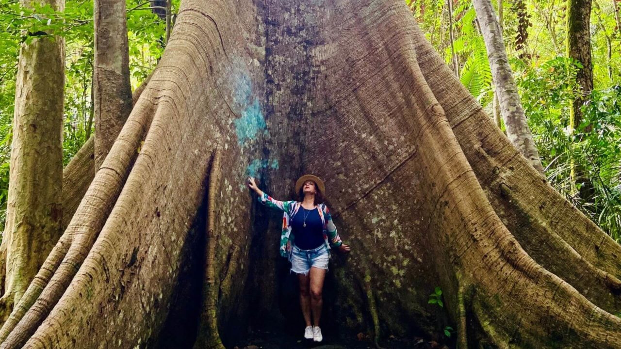 Lugares para viajar na pandemia